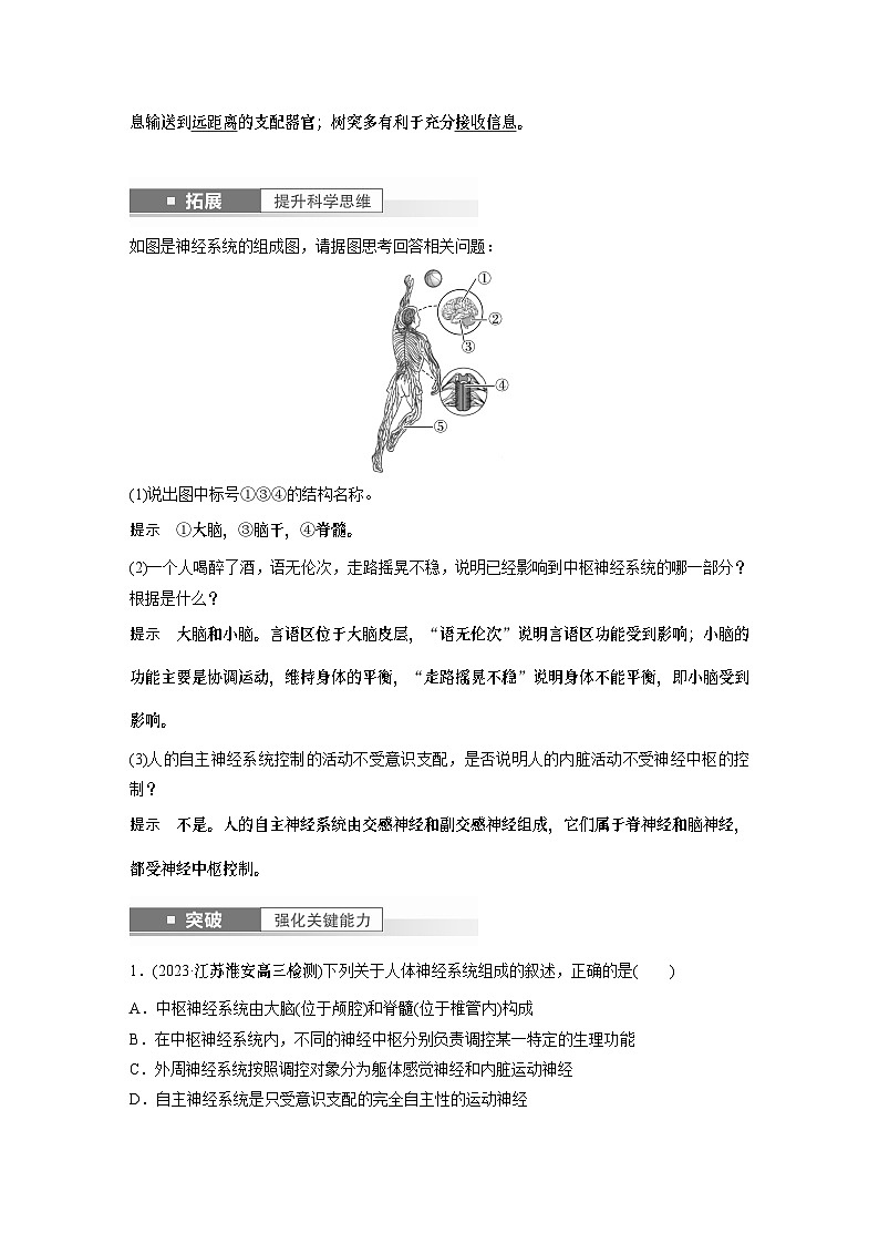 2024年高考生物一轮复习（新人教版） 第8单元　第2课时　神经调节的结构基础及基本方式 练习课件03