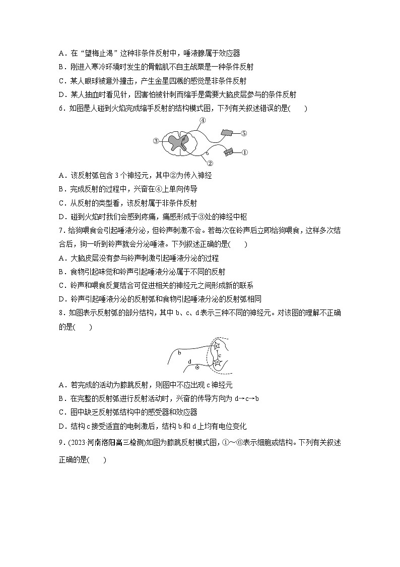 2024年高考生物一轮复习（新人教版） 第8单元　第2课时　神经调节的结构基础及基本方式 练习课件02