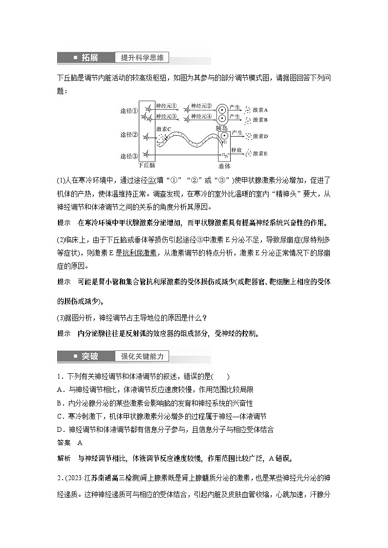2024年高考生物一轮复习（新人教版） 第8单元　第6课时　体液调节与神经调节的关系 练习课件02