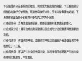 2024年高考生物一轮复习（新人教版） 第8单元　微专题六　动物生命活动调节模型的构建和分析