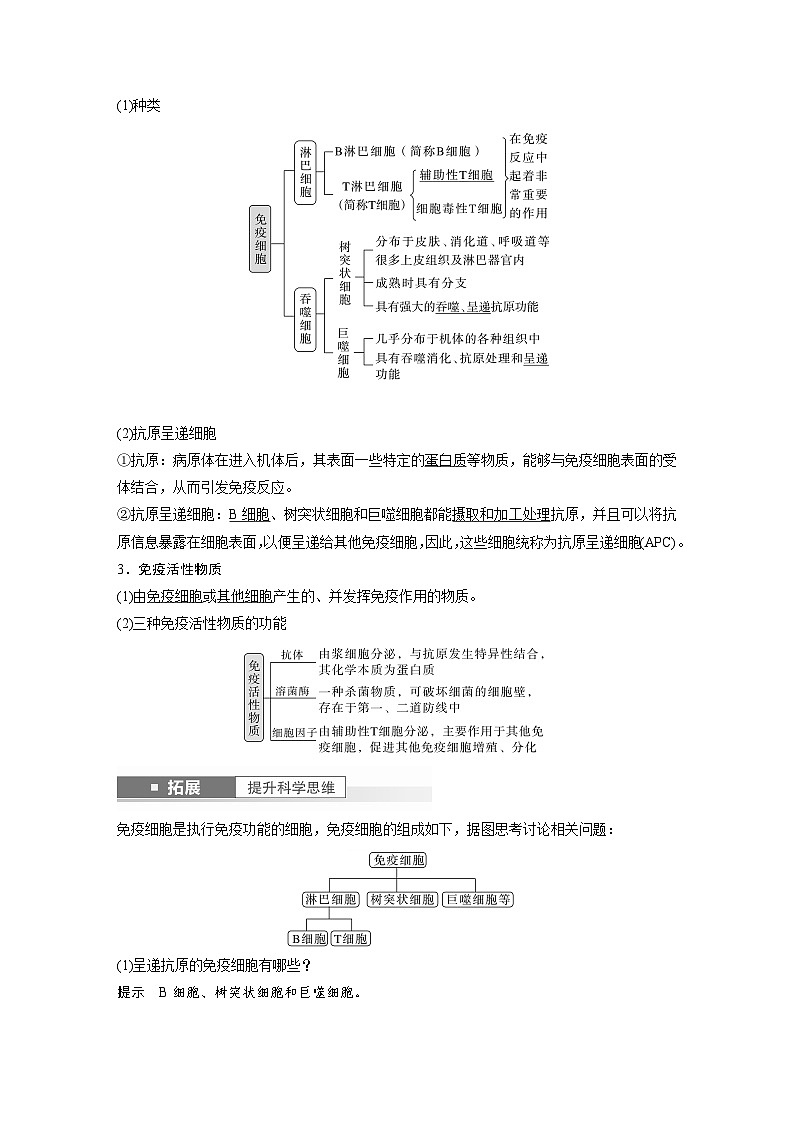2024年高考生物一轮复习（新人教版） 第8单元　第7课时　免疫系统和特异性免疫 练习课件02