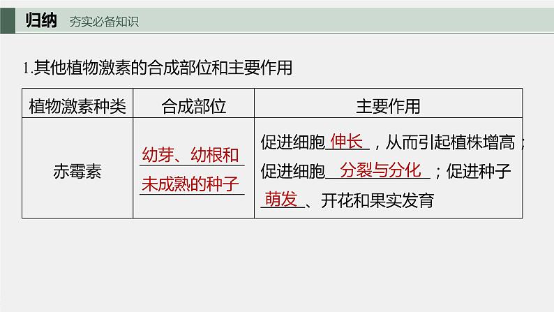 2024年高考生物一轮复习（新人教版） 第8单元　第10课时　其他植物激素、植物生长调节剂及环境因素参与调节植物的生命活动 练习课件05