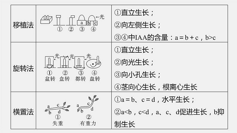 2024年高考生物一轮复习（新人教版） 第8单元　微专题七　植物激素调节的相关实验探究03