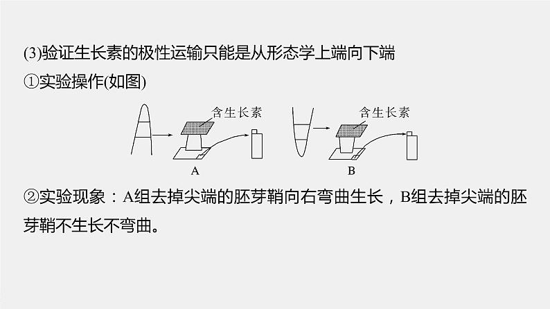 2024年高考生物一轮复习（新人教版） 第8单元　微专题七　植物激素调节的相关实验探究06