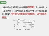 2024年高考生物一轮复习（新人教版） 第8单元　长句表达(四)　个体稳态中相关过程变化机理分析 课件