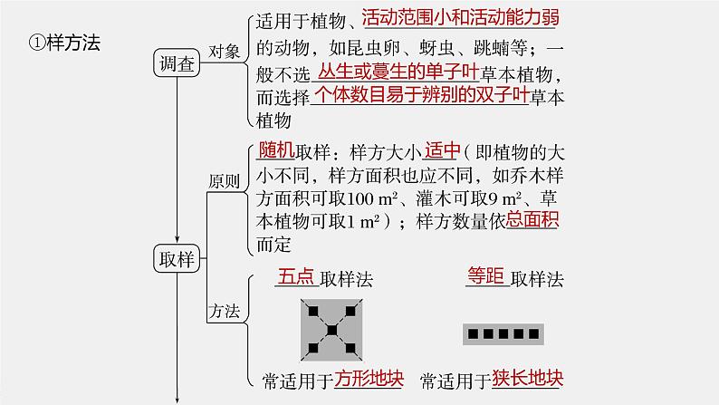 2024年高考生物一轮复习（新人教版） 第9单元　第1课时　种群的数量特征 练习课件07