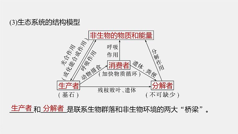 2024年高考生物一轮复习（新人教版） 第9单元　第5课时　生态系统的结构 练习课件08
