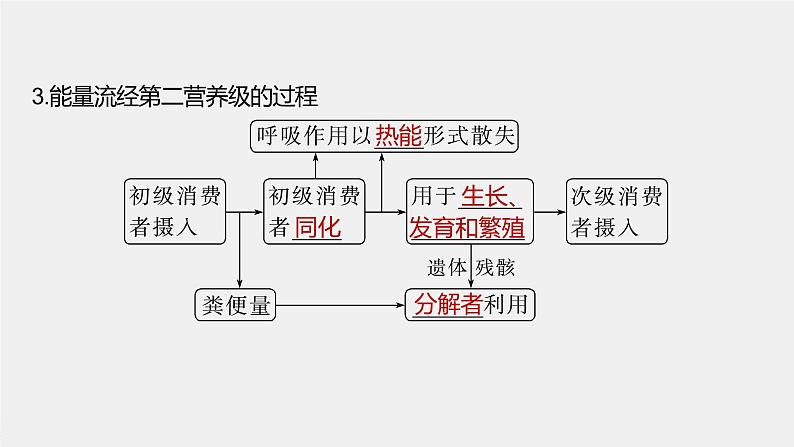 2024年高考生物一轮复习（新人教版） 第9单元　第6课时　生态系统的能量流动 练习课件07