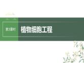 2024年高考生物一轮复习（新人教版） 第10单元　第3课时　植物细胞工程 练习课件