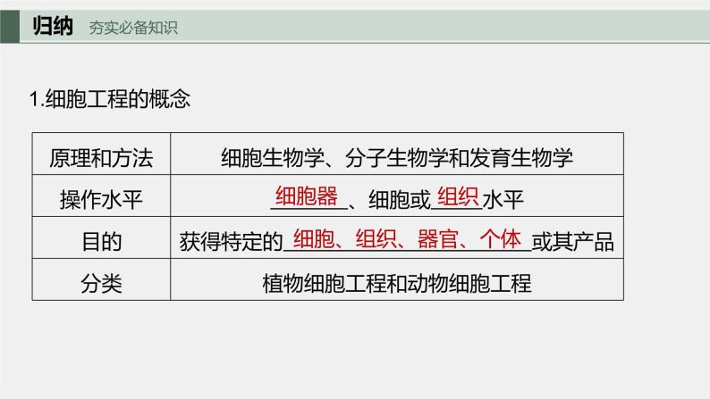 2024年高考生物一轮复习（新人教版） 第10单元　第3课时　植物细胞工程 练习课件05