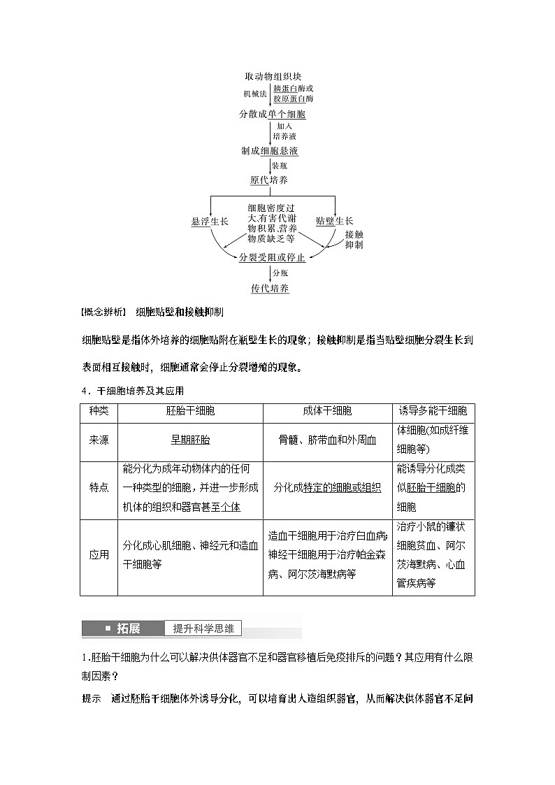 2024年高考生物一轮复习（新人教版） 第10单元　第4课时　动物细胞工程 练习课件02