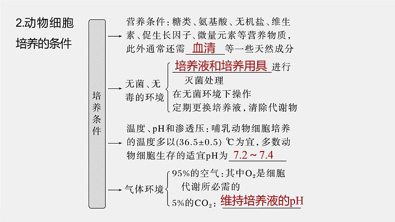 2024年高考生物一轮复习（新人教版） 第10单元　第4课时　动物细胞工程 练习课件06