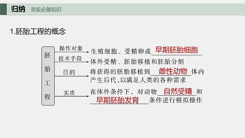 2024年高考生物一轮复习（新人教版） 第10单元　第5课时　胚胎工程第5页