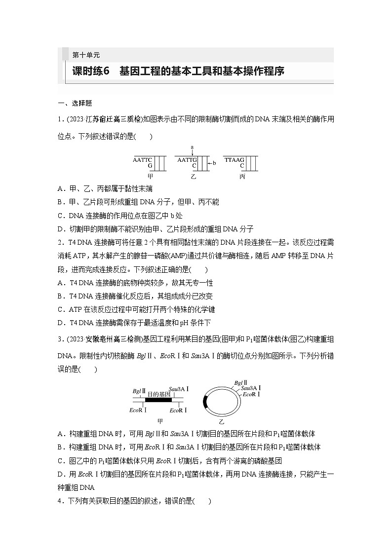 2024年高考生物一轮复习（新人教版） 第10单元　第6课时　基因工程的基本工具和基本操作程序 练习课件01