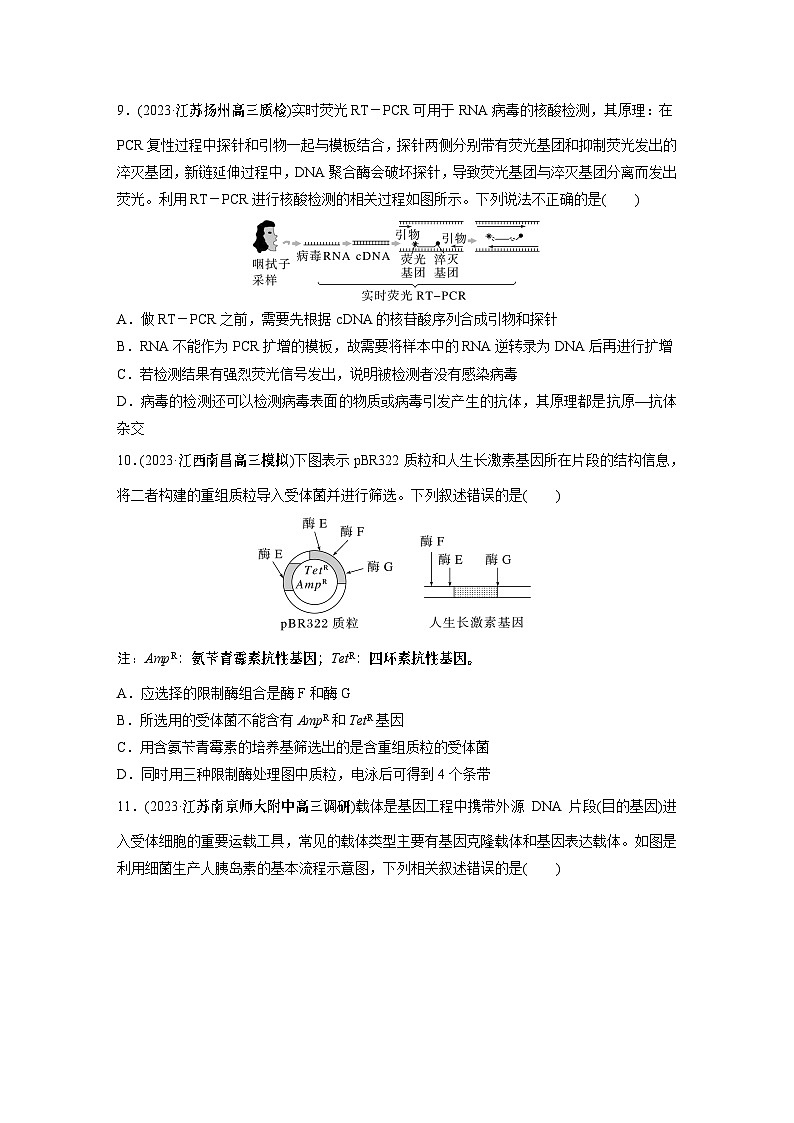 2024年高考生物一轮复习（新人教版） 第10单元　第6课时　基因工程的基本工具和基本操作程序 练习课件03