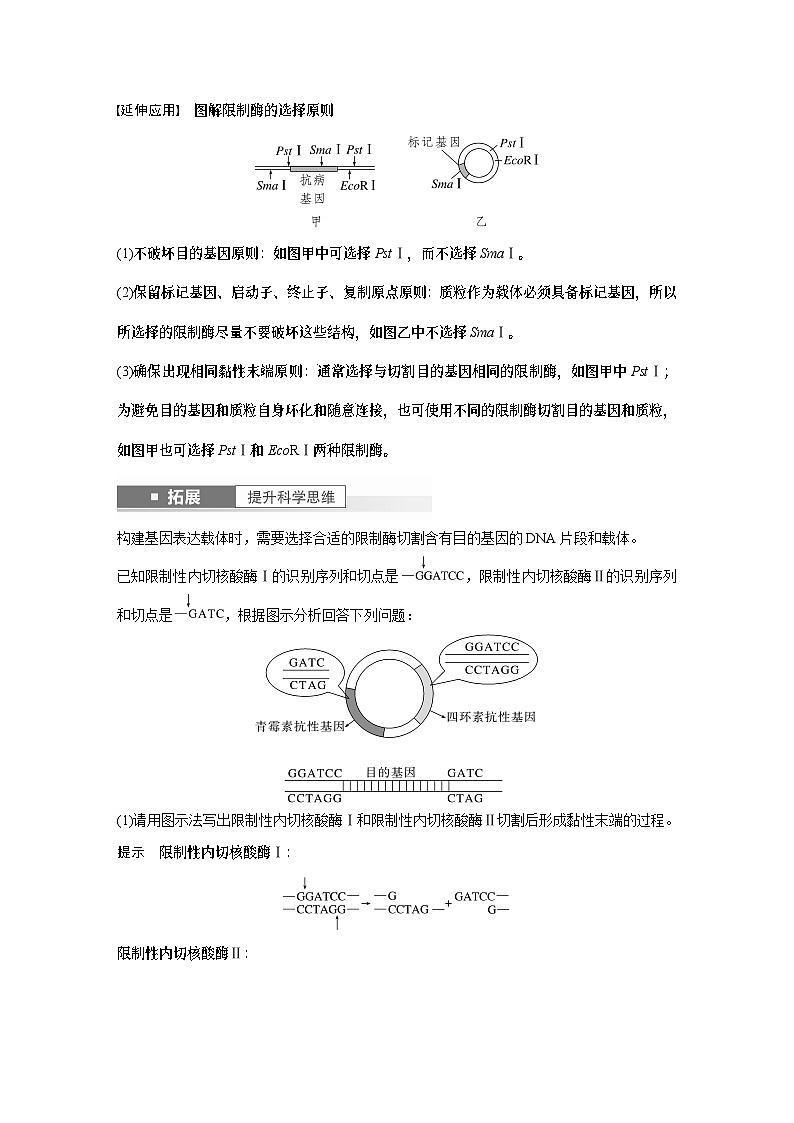 2024年高考生物一轮复习（新人教版） 第10单元　第6课时　基因工程的基本工具和基本操作程序 练习课件03