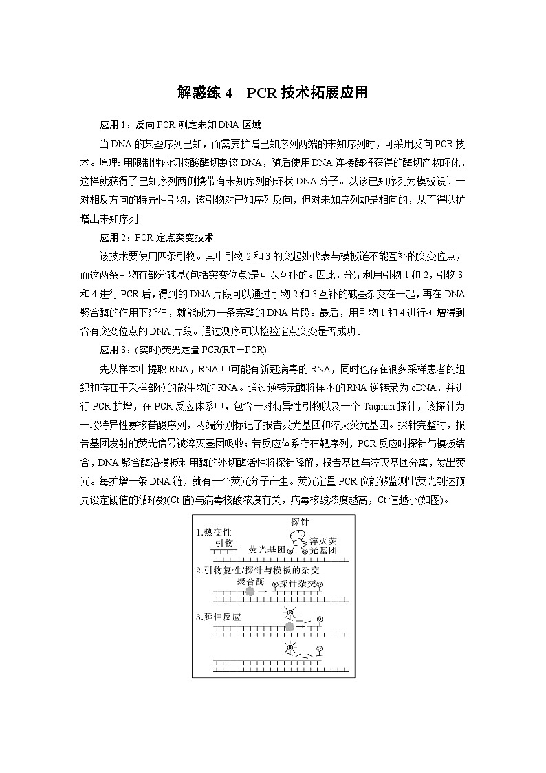 2024年高考生物一轮复习（新人教版） 第10单元　解惑练4　PCR技术拓展应用01