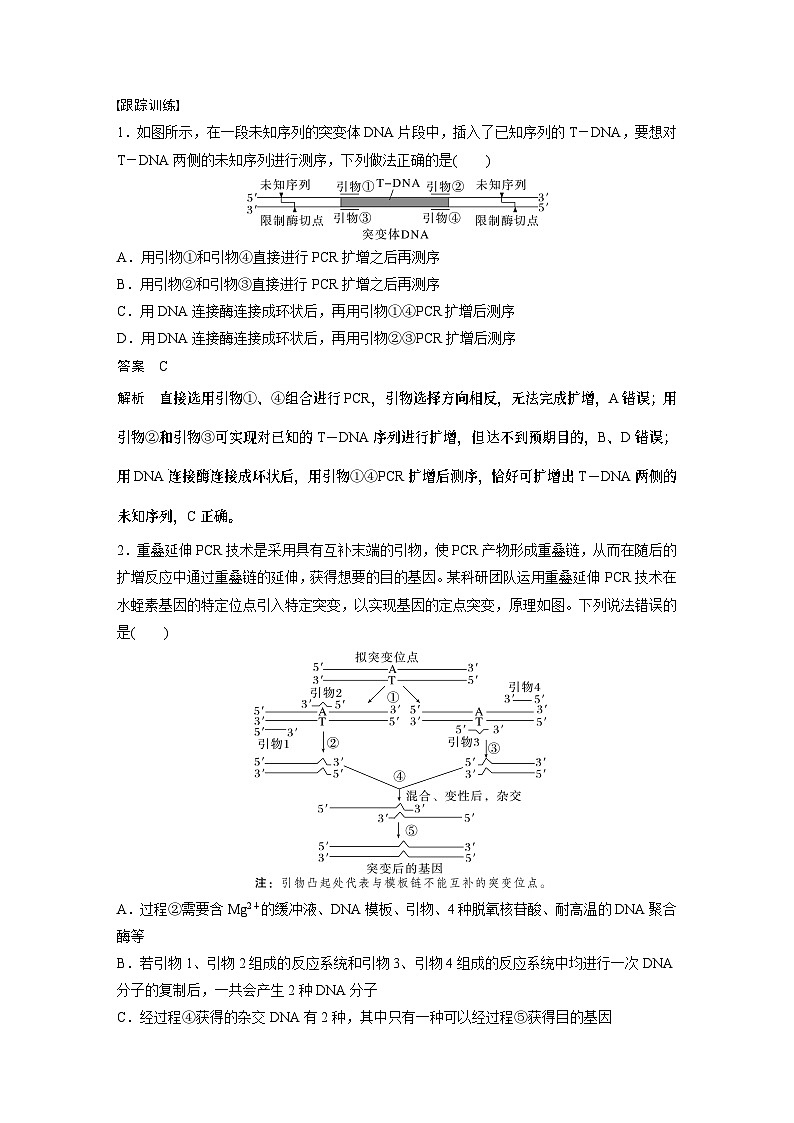 2024年高考生物一轮复习（新人教版） 第10单元　解惑练4　PCR技术拓展应用02