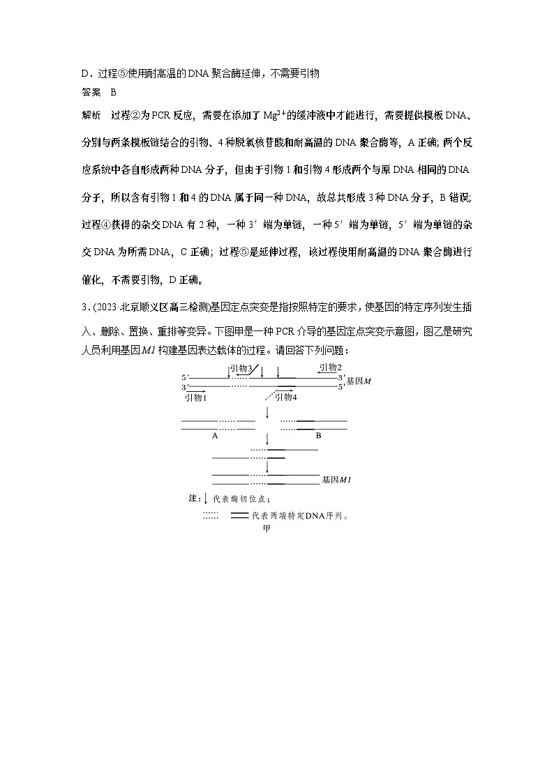 2024年高考生物一轮复习（新人教版） 第10单元　解惑练4　PCR技术拓展应用03