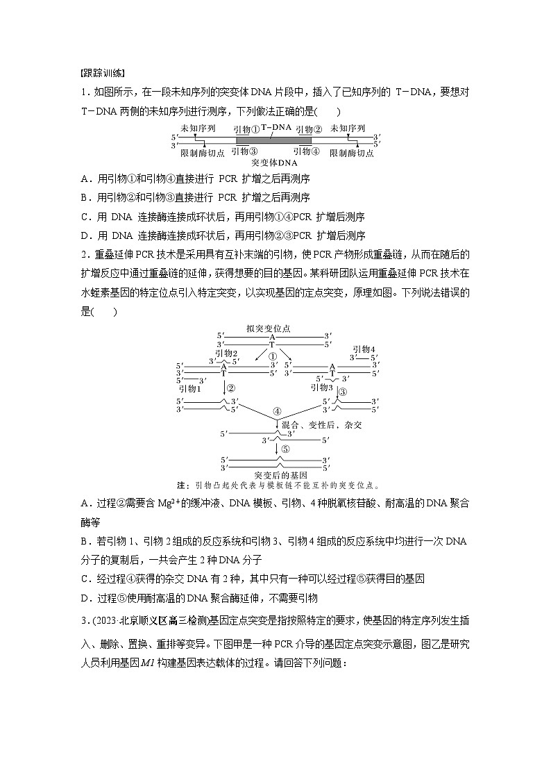 2024年高考生物一轮复习（新人教版） 第10单元　解惑练4　PCR技术拓展应用02