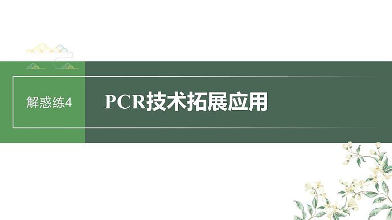 2024年高考生物一轮复习（新人教版） 第10单元　解惑练4　PCR技术拓展应用01