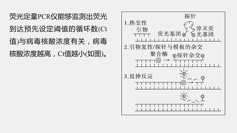 2024年高考生物一轮复习（新人教版） 第10单元　解惑练4　PCR技术拓展应用05