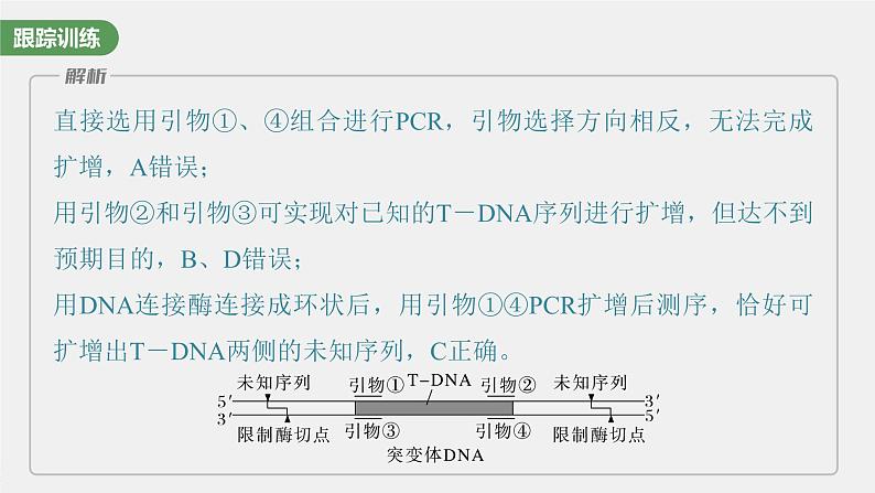 2024年高考生物一轮复习（新人教版） 第10单元　解惑练4　PCR技术拓展应用07