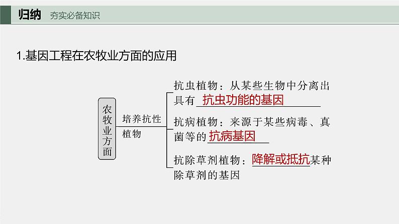 2024年高考生物一轮复习（新人教版） 第10单元　第7课时　基因工程的应用和蛋白质工程 练习课件05