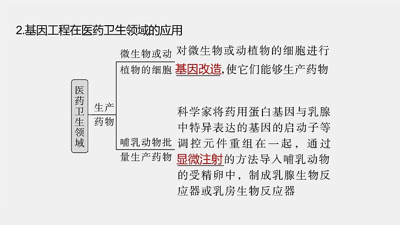 2024年高考生物一轮复习（新人教版） 第10单元　第7课时　基因工程的应用和蛋白质工程 练习课件08