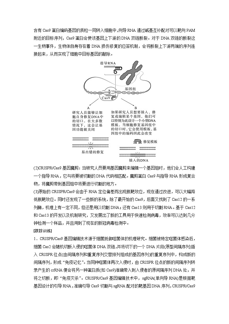 第10单元　解惑练5　CRISPR Cas9技术第2页