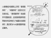 2024年高考生物一轮复习（新人教版） 第10单元　解惑练5　CRISPR Cas9技术