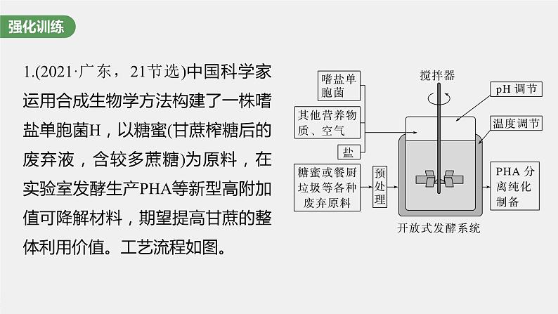 2024年高考生物一轮复习（新人教版） 第10单元　长句表达(六)　生物技术与工程的概念、原理分析与应用 课件08