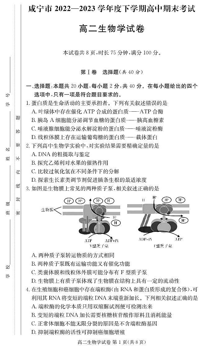 湖北省咸宁市2022-2023学年高二下学期期末考试生物试题01