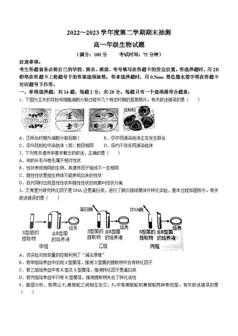 江苏省徐州市2022-2023高一下学期期末考试生物试题第1页
