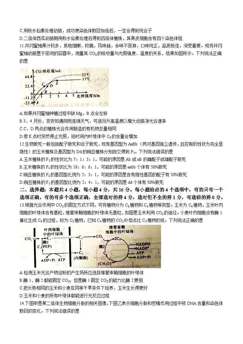 江西省吉安市2022-2023学年高一下学期期末生物试题03