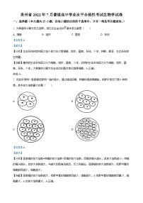 精品解析：贵州省2022年7月普通高中学业水平合格性考试生物试题（解析版）