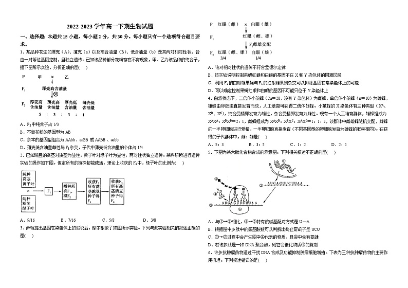山东省潍坊第一中学2022-2023学年高一下期6月阶段检测生物试题第1页