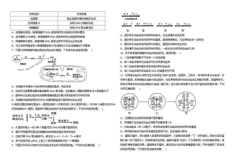 山东省潍坊第一中学2022-2023学年高一下期6月阶段检测生物试题第2页