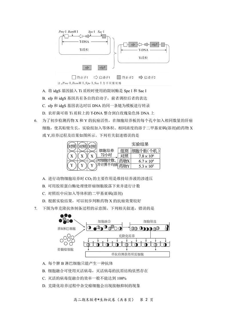 湖北省武汉市部分学校联合体2022-2023高二下学期期末生物试卷+答案02