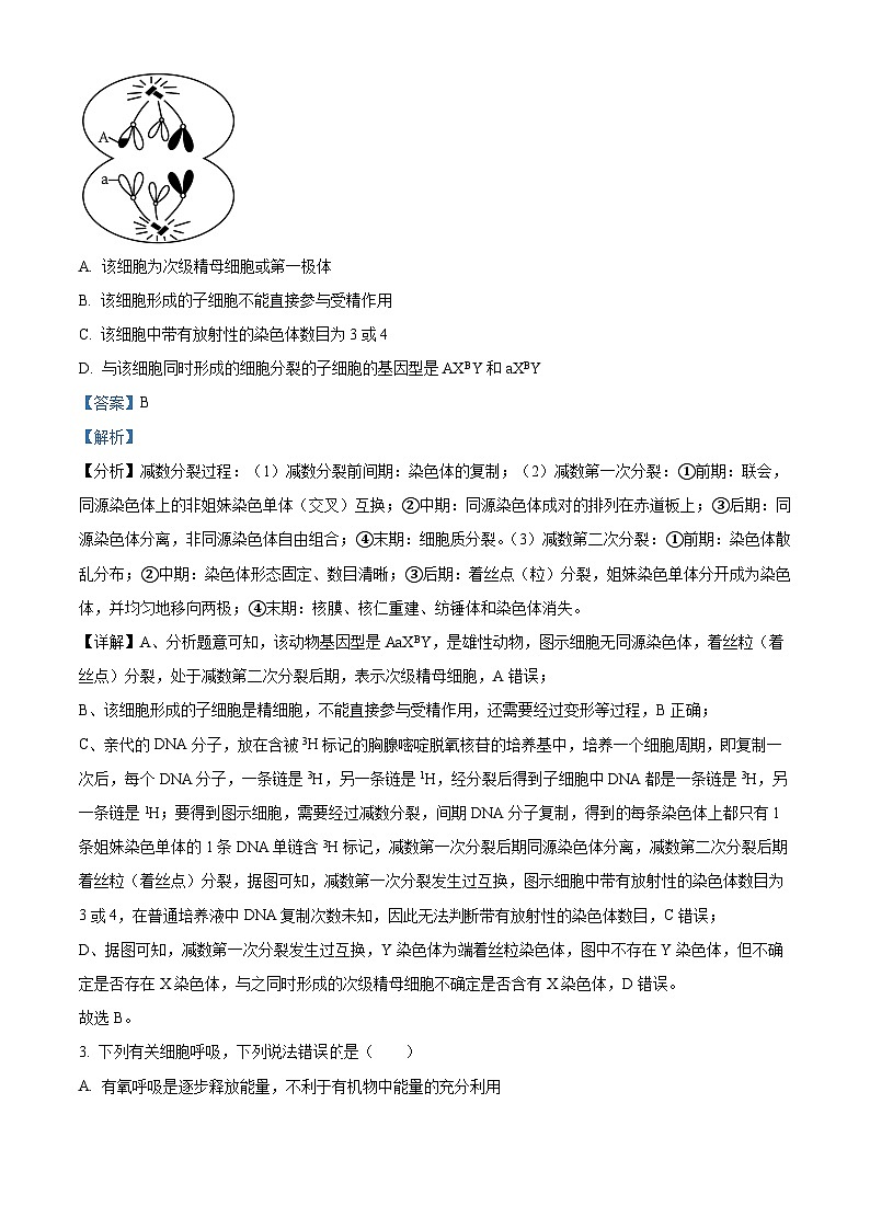 四川省射洪中学2023届高三生物下学期高考适应性考试（二）试题（Word版附解析）第2页