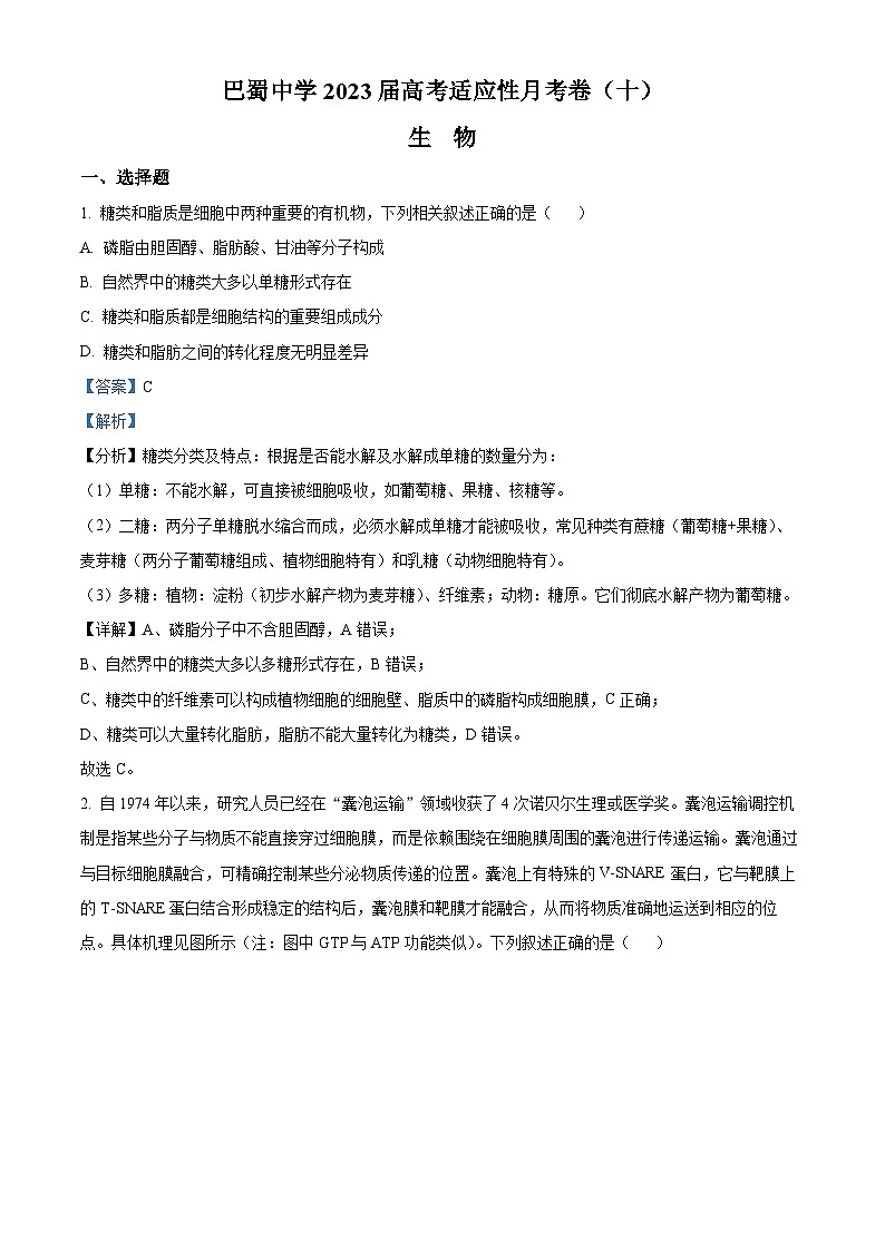 重庆市巴蜀中学2023届高三生物适应性月考（十）试题（Word版附解析）01