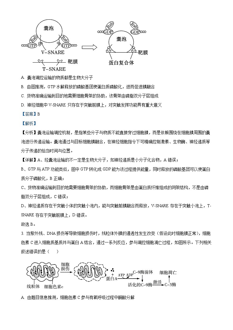 重庆市巴蜀中学2023届高三生物适应性月考（十）试题（Word版附解析）02