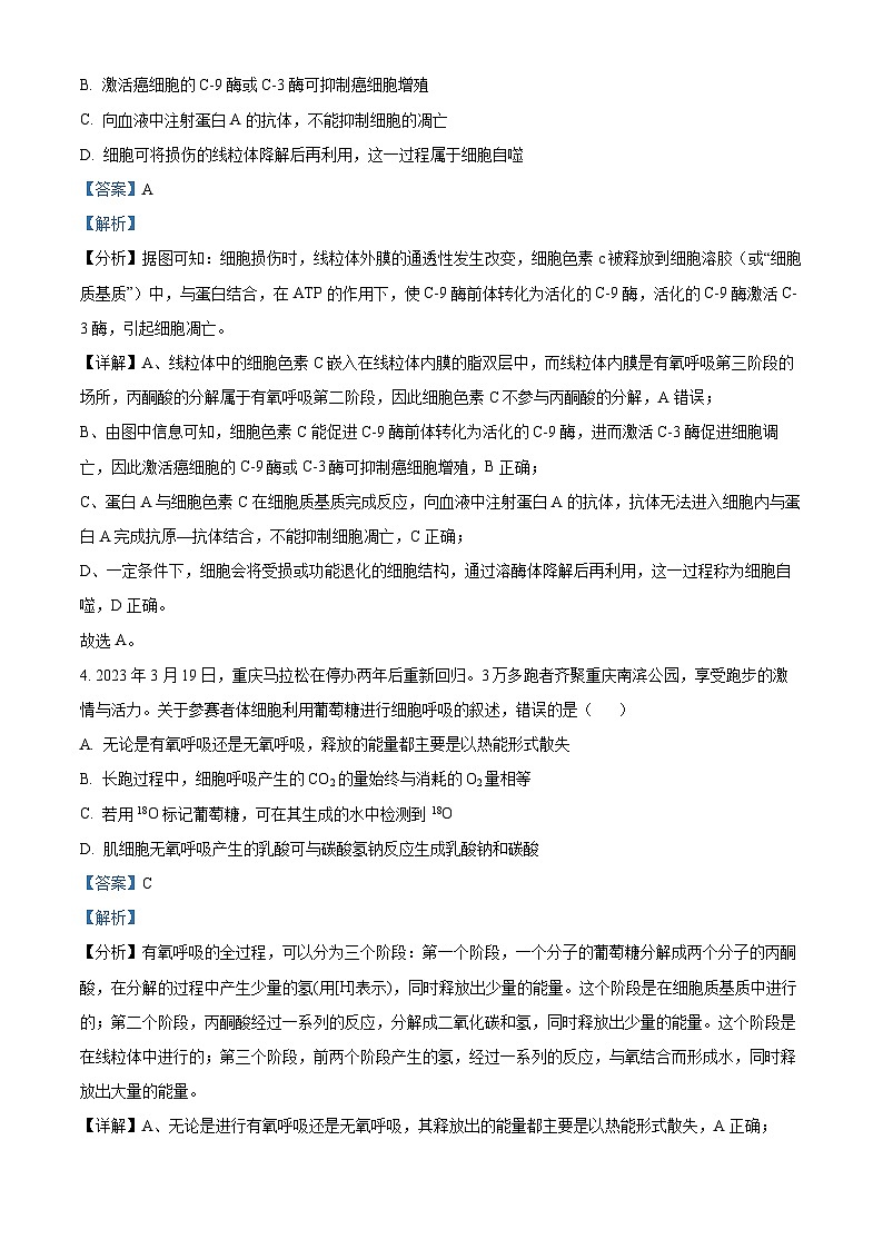 重庆市巴蜀中学2023届高三生物适应性月考（十）试题（Word版附解析）03