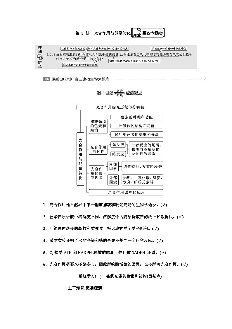 2024届人教版高考生物一轮复习光合作用与能量转化学案第1页