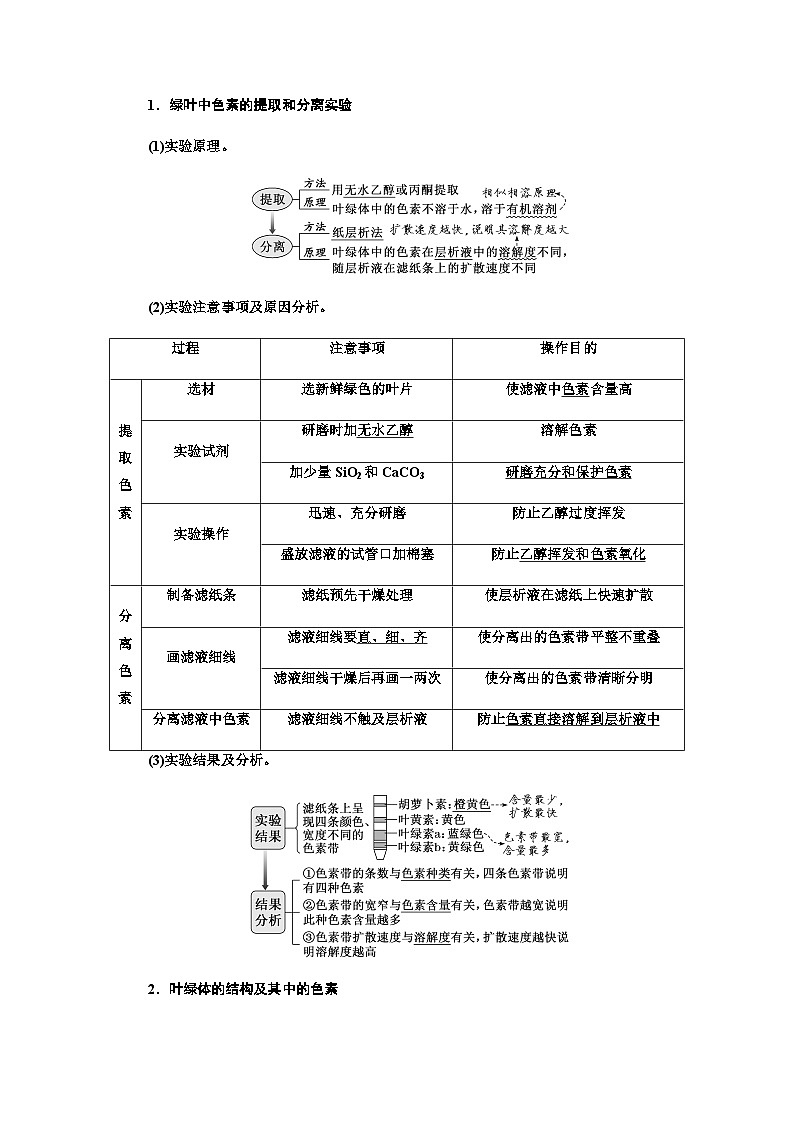 2024届人教版高考生物一轮复习光合作用与能量转化学案第2页