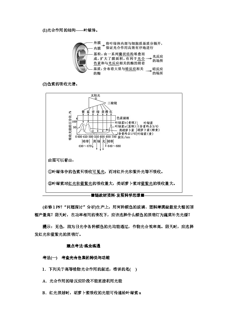 2024届人教版高考生物一轮复习光合作用与能量转化学案第3页