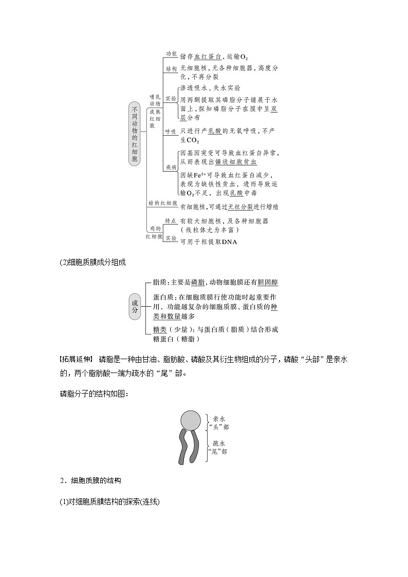 2024届苏教版高考生物一轮复习细胞质膜将细胞与外界环境分开学案02
