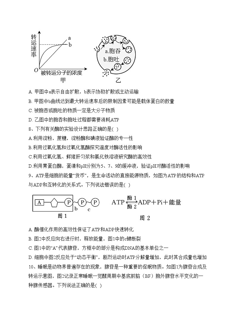 南阳市第一中学校2022-2023学年高二下学期第三次月考生物试卷（含答案）第3页