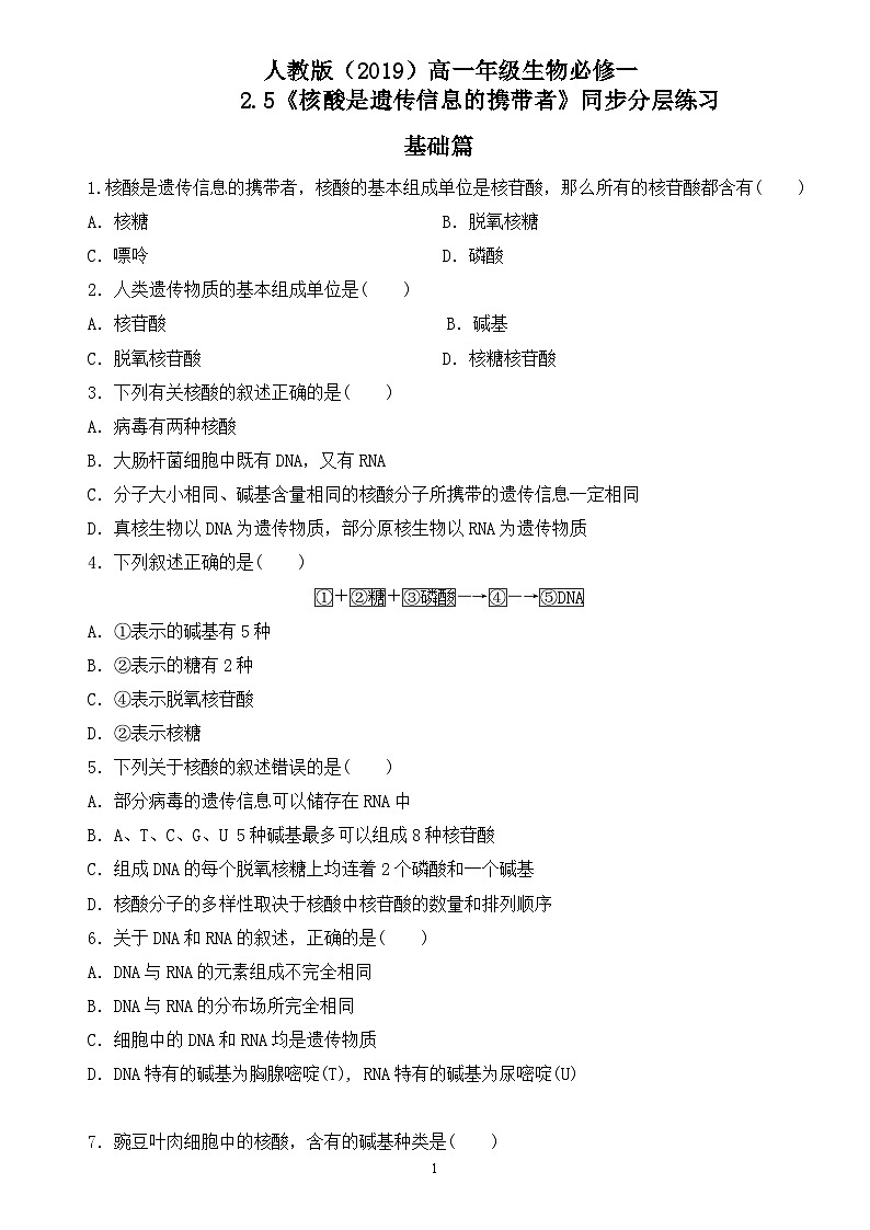 2.5《核酸是遗传信息的携带者》同步分层练习第1页