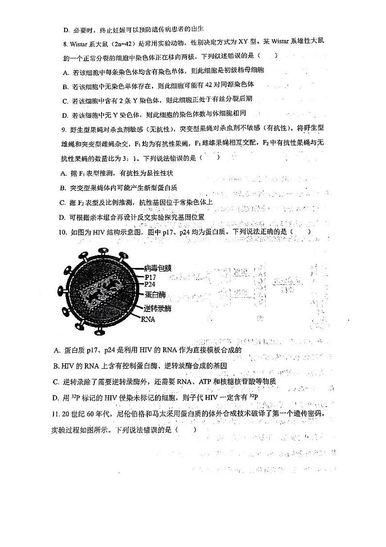 山东省泰安第一中学2022-2023学年高一下学期期末模拟生物试题03